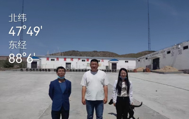 1728868363186698.jpg 1728868321697.jpg