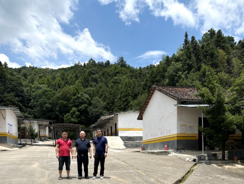 1728871971902823.jpg 1728871930453.jpg