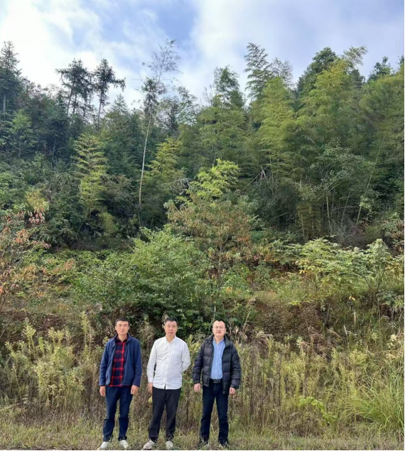 1734928278118154.jpg 1734928243545.jpg